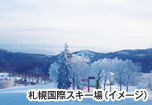 札幌国際スキー場（イメージ）