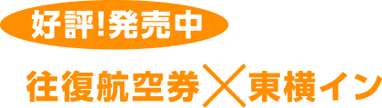 往復航空券×東横イン