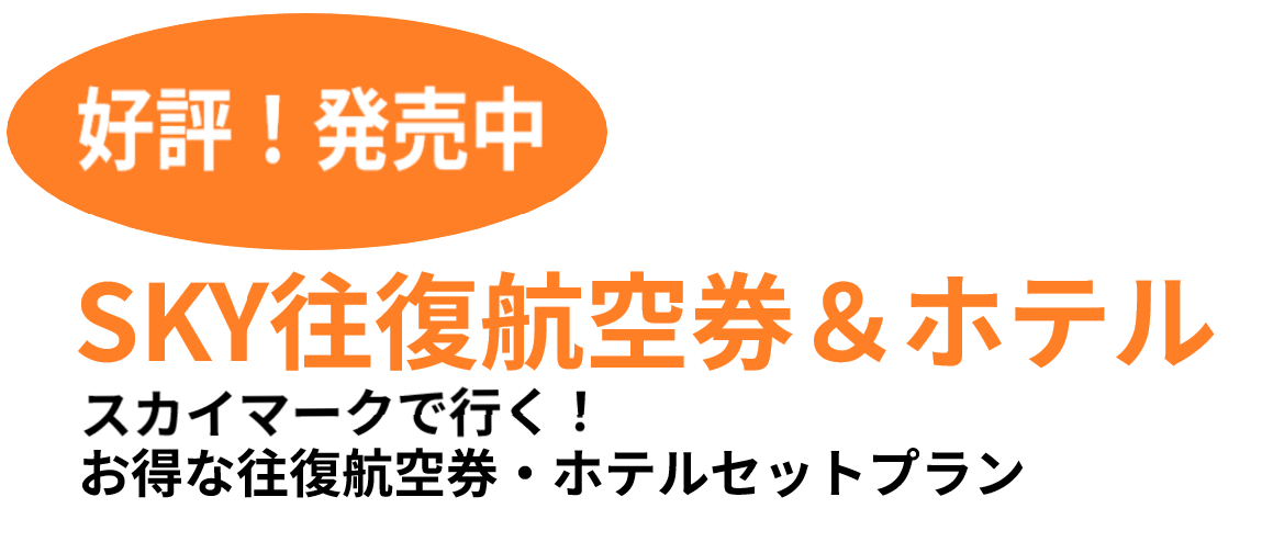 SKY往復航空券