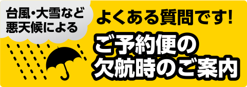 ご予約便の欠航時のご案内