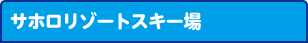 ルスツリゾートスキー場／キロロスノーワールド／ニセコアンヌプリ国際スキー場／ニセコビレッジスキーリゾート／ニセコマウンテンリゾート ニセコグラン・ヒラフ／マウントレースイスキー場／札幌国際スキー場／サッポロテイネ