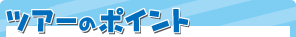 ツアーのポイント