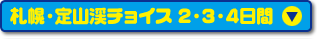 札幌・定山渓チョイス 2・3・4日間