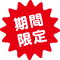 出発日限定
