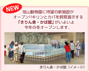 旭山動物園に待望の新施設がオープン!!キリンとカバを飼育展示する「きりん舎・かば館」がいよいよ今年の冬オープンします。