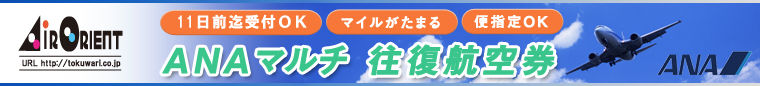 ANA格安航空券