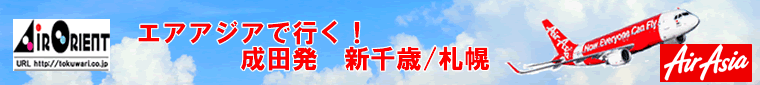 ANA格安航空券