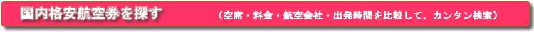 国内格安航空券を探す