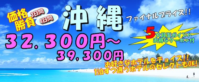 JAL・ANA春休みスペシャル+レンタカー付き"