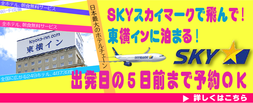 スカイマークで飛んで東横インに泊まる